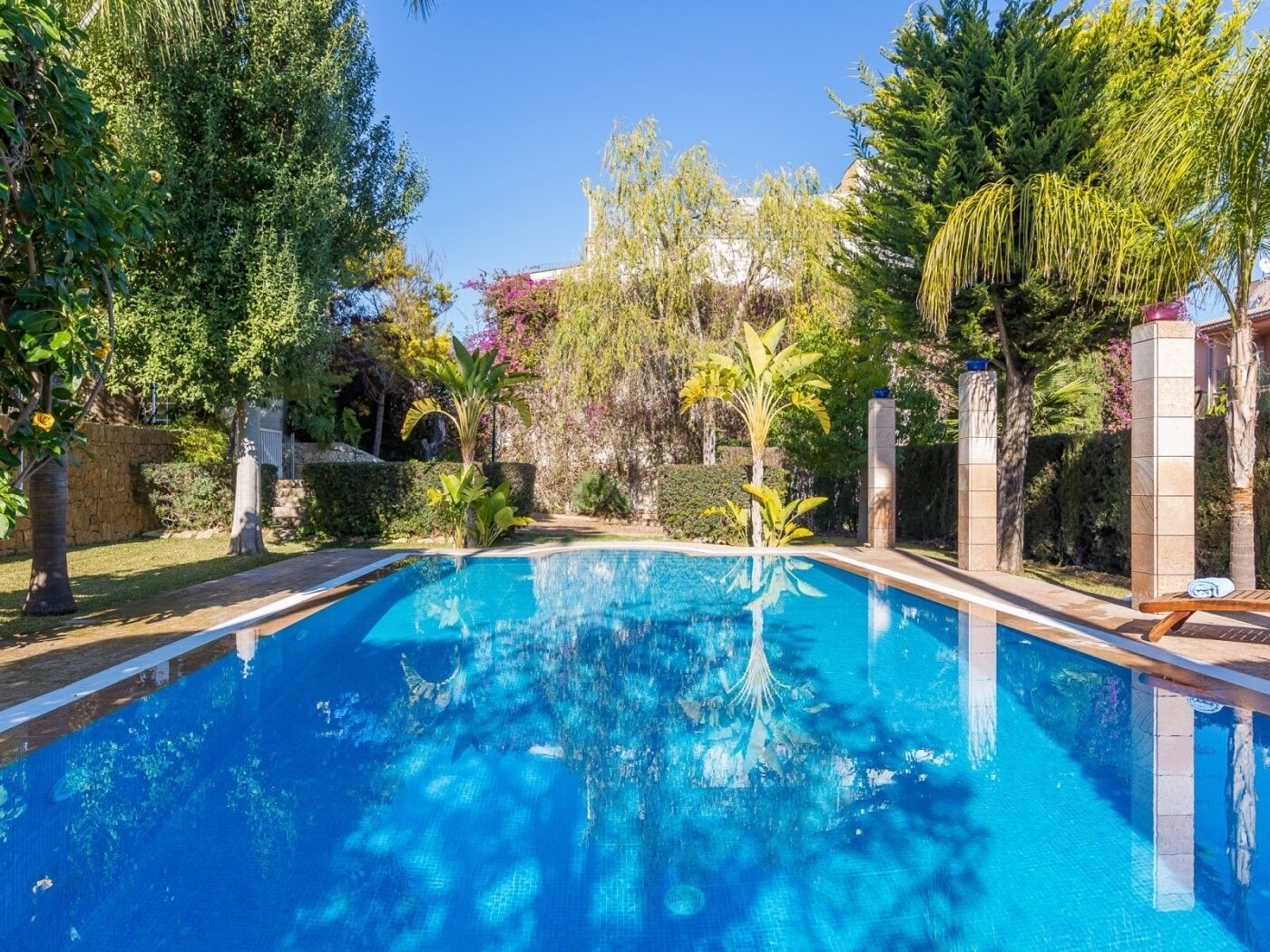 A swimming pool surrounded by lush greenery and a stone wall.