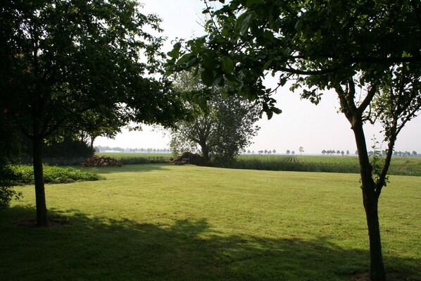 Eine Wiese mit Bäumen und einer entfernten Wassersicht.