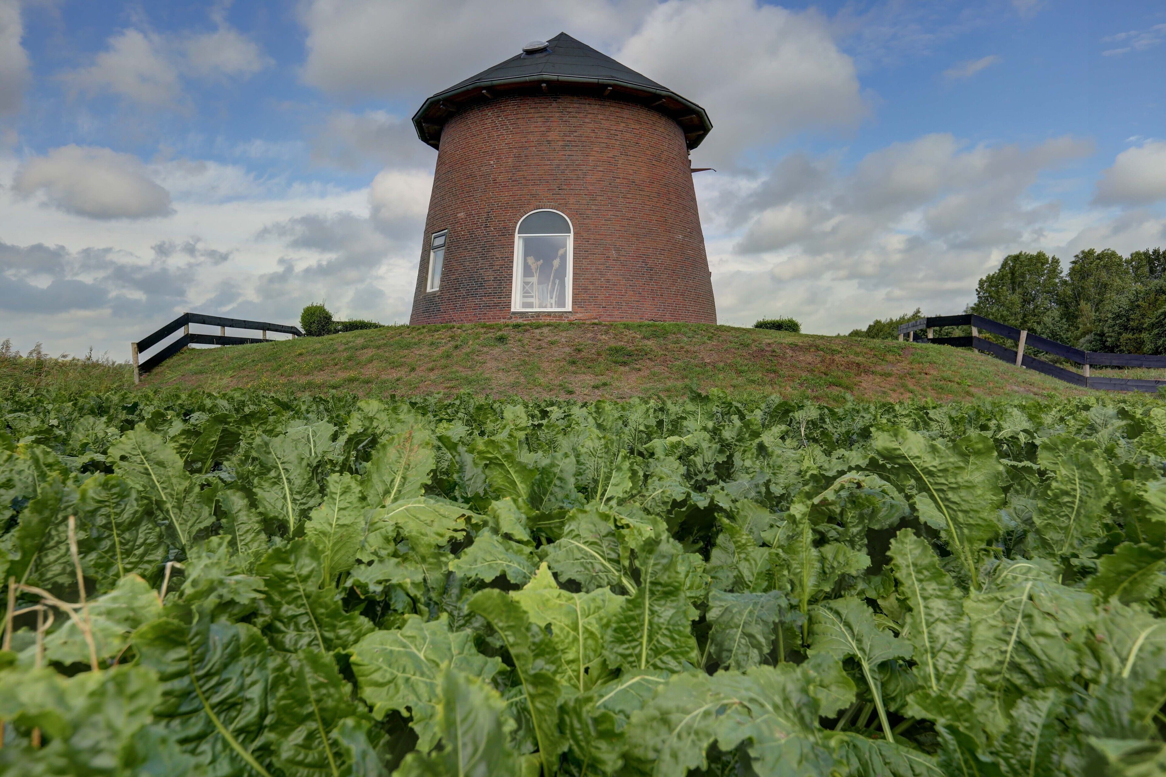 Una torre in mattoni con una porta bianca e una piccola finestra, circondata da una rigogliosa vegetazione.