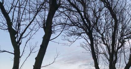 The Turret of Trips - The Water Tower of Groningen