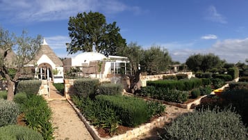 Terrein van de accommodatie