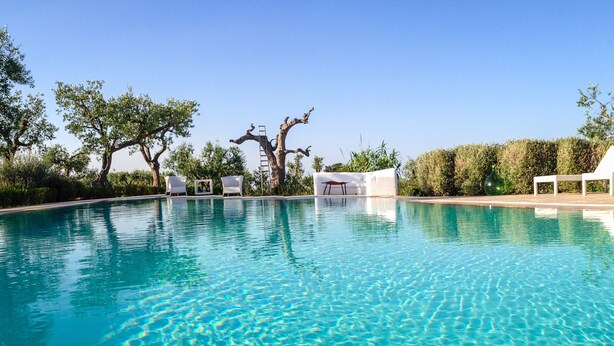A clear swimming pool with lounge chairs and a tree. - Il Trullo di Ben (Locorotondo)
