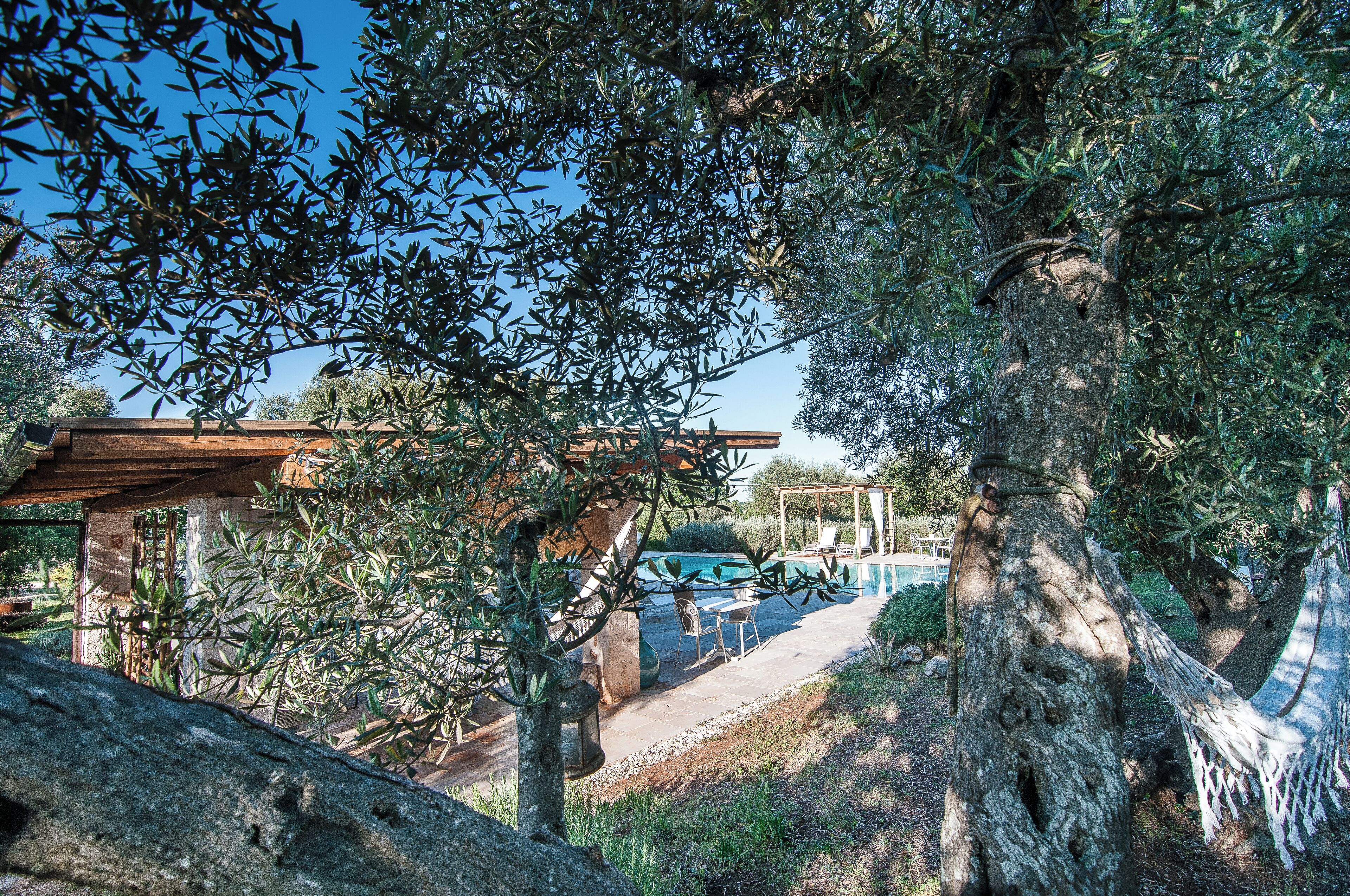 Parco della struttura