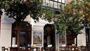 Un café en plein air avec des tables et des chaises en bois, un bâtiment sur lequel on peut lire l’inscription « El Patio », et un arbre aux oranges.