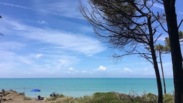 Una spiaggia nelle vicinanze