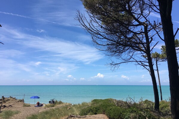 Unclassified image, 1 of 13, button