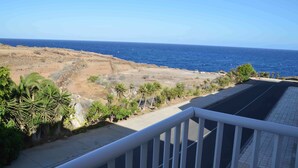 A coastal landscape with a clear view of the sea, a paved walkway, and sparse vegetation including palm trees.