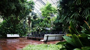 An indoor garden with a bench, lush greenery, and a glass ceiling structure. - Singular Stays Botanico Room IV (Valencia ciudad)