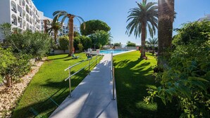 Un espace piscine avec un ciel dégagé, des palmiers et un chemin menant à la piscine.