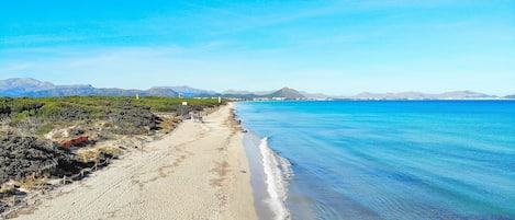 Playa