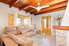 TV connectée, cheminée, lecteur de DVD