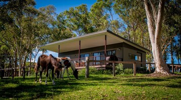 Eco Cabin # 1 | Garden view