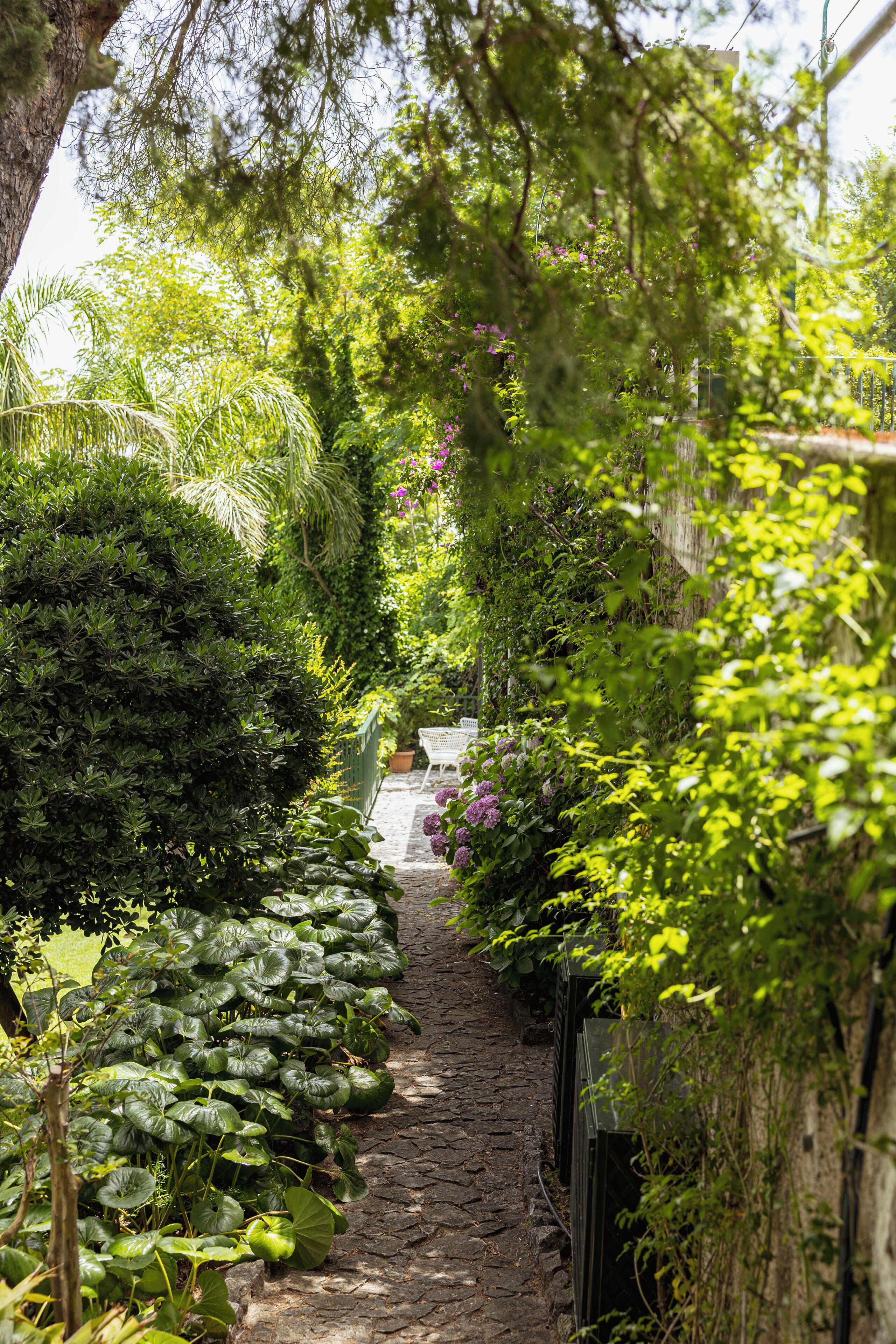 Parco della struttura