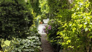 A stone pathway surrounded by lush greenery and flowering plants. - Apartment on the Amalfi Coast PARKING SPACE AND POOL (Salerno)