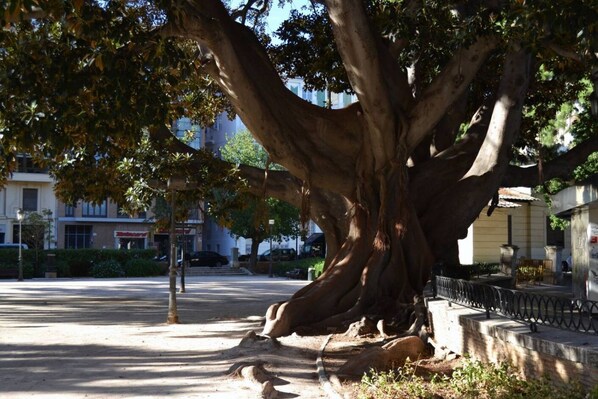 Property grounds