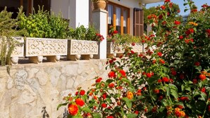 A house with a stone wall, potted plants, and a flower bed with red flowers.