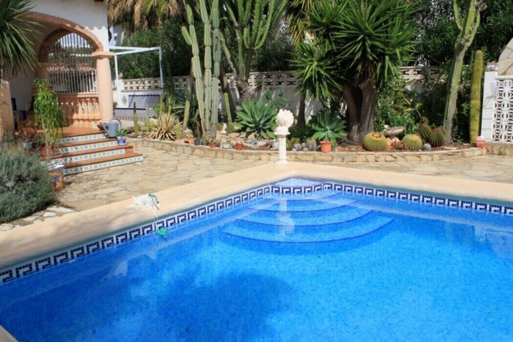 A swimming pool with a decorative edge, surrounded by a garden with various plants and a cactus.