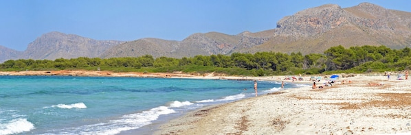 Playa en los alrededores 