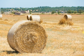 Altres