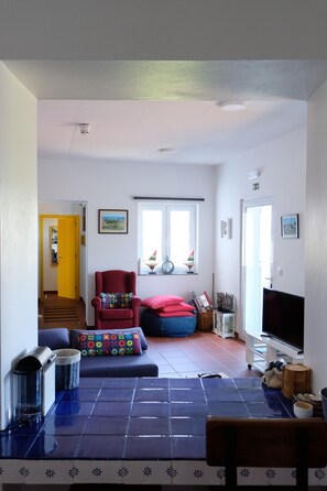 TV connectée, cheminée, livres, chaßne hi-fi