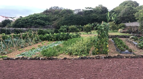 Malta House - de bonnes vacances sur l'île verte à côté de la plage