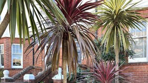 A garden with a wooden bench, palm trees, and a brick building. - Silverdale Sunbeams, 4 bedroom spacious apartment close to seafront (Eastbourne)