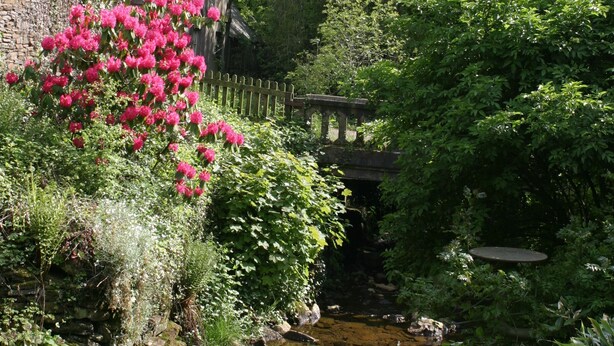 A rustic stone building with a wooden fence, a small stream, and lush greenery. - Family friendly coachhouse in idyllic setting with extensive private grounds and free WiFi (Swansea)