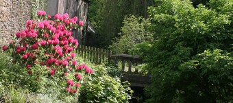 Family friendly coachhouse in idyllic setting with extensive private grounds and free WiFi