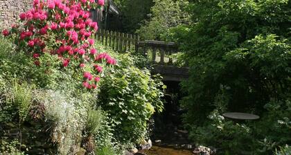 Perheystävällinen valmentaja idyllisessä ympäristössä, jossa on laaja yksityinen alue ja ilmainen WiFi