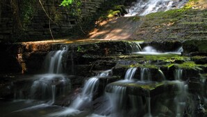 A multi-tiered waterfall with stone walls and moss-covered rocks. - Family friendly coachhouse in idyllic setting with extensive private grounds and free WiFi (Swansea)