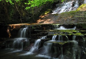 Property grounds - Family friendly coachhouse in idyllic setting with extensive private grounds and free WiFi (Swansea)