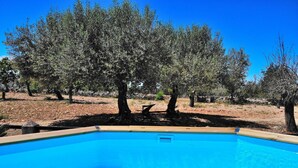 Une piscine d’eau cristalline, entourée d’arbres.