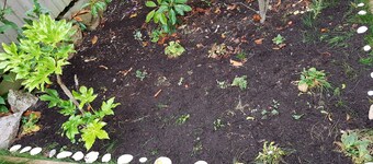 Luksuriøst, veldig romslig ettroms leilighet