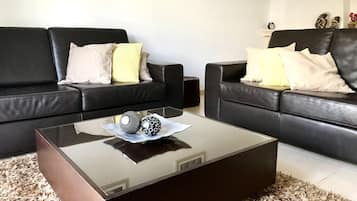 TV, fireplace, books