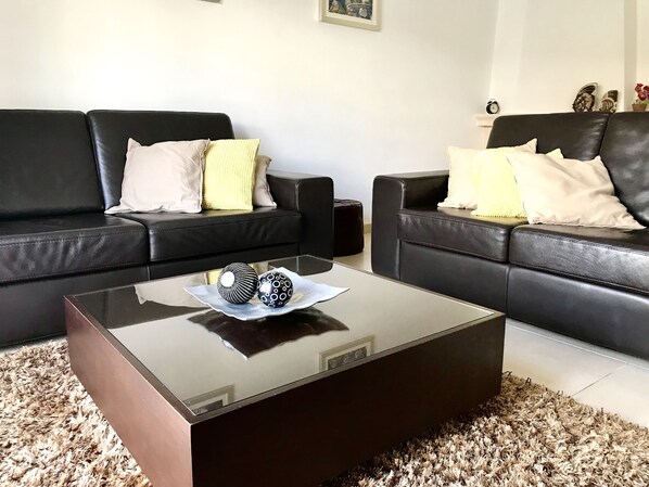 TV, fireplace, books