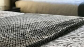 2 多间卧室、隔音、熨斗/熨衣板、免费 WiFi