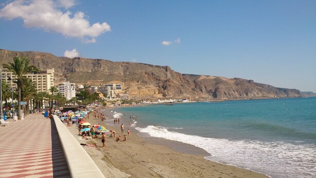 A beach with a promenade, palm trees, and buildings in the background. - See view, 500m from the beach,Aircon,WIFI,terrace (Roquetas de Mar)