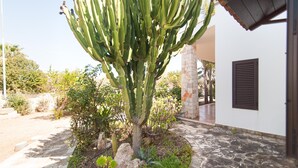 A cactus in a garden area with a stone pathway and a building with a window and shutter. - Villa Rose - Marina Di Mancaversa (Marina di mancaversa)