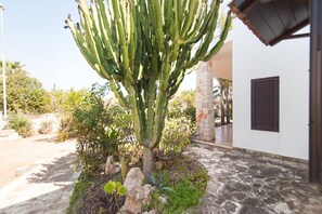 Property grounds - Villa Rose - Marina Di Mancaversa (Marina di mancaversa)