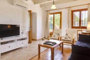 TV connectée, cheminée, lecteur de DVD, livres