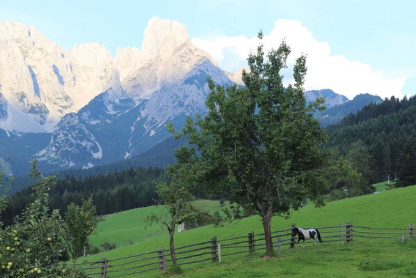 Unclassified image, 1 of 16, button