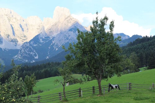 Bischofsmütze double room - Payrhof - Family holiday at the Bio-Bergbauernhof