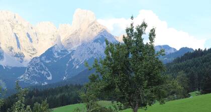Bischofsmütze double room - Payrhof - Family holiday at the Bio-Bergbauernhof