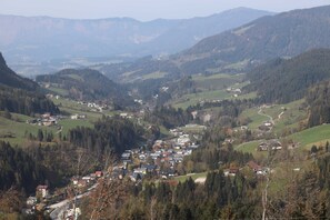 Unclassified image, 4 of 16, button