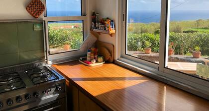 Hébergement calme et confortable avec une vue magnifique et un beau jardin