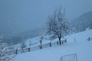 Snow and ski sports