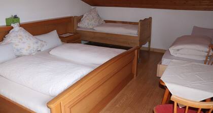 Ferienwohnung Lammertal - Payrhof - Familienurlaub am Bio-Bergbauernhof