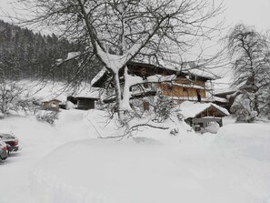 Exterior - Vacation apartment Lammertal - Payrhof - Family vacation on an organic mountain farm (Promberg)