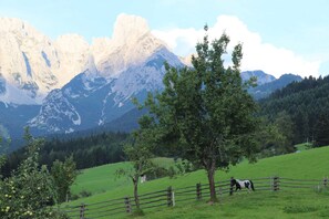 Uklassifisert bilde, 5 av 16, knapp