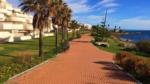 Ein gepflasterter Weg, gesäumt von Palmen, mit Blick auf das Meer.